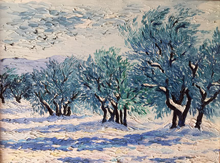Les oliviers sous la neige